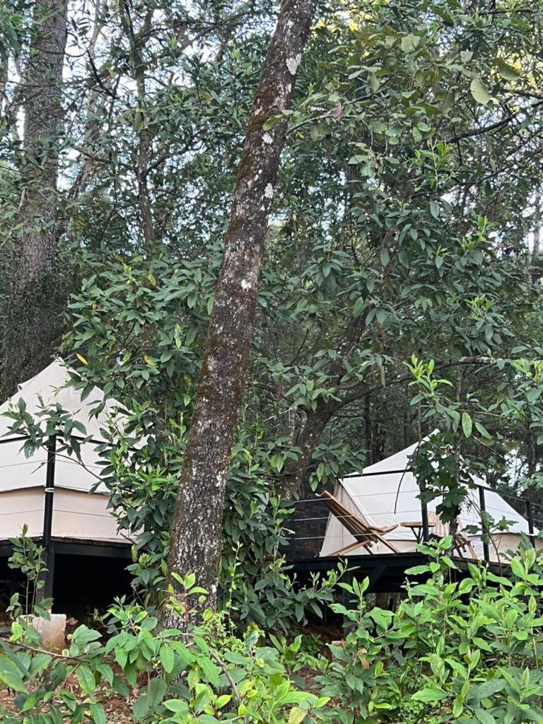 Hotel Oxu Solo Adultos Valle de Bravo Exteriér fotografie