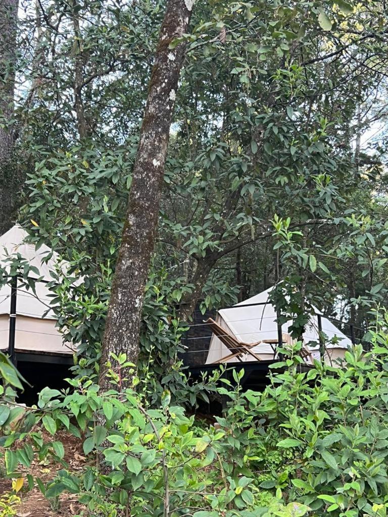 Hotel Oxu Solo Adultos Valle de Bravo Exteriér fotografie